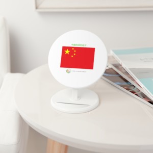 中国的绿色经济 (Chinese) - induction charger